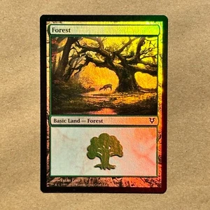 MTG ~ LÁMINA ~ Bosque (244) ~ AVR Avacyn Restaurado ~ #244 Tierra Básica ~ MP - Imagen 1 de 15