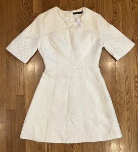NWT Ark & Co Anthropologie Ivory Dress Small Shimmer Textured Fitted Bust Waist - Picture 1 of 18