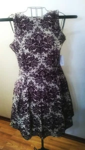 Charmantes Charlie Damen Kleid Größe Small Lila Creme Neu mit Etikett! - Bild 1 von 9