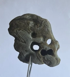 Hag Stein Schädel geformt Natur Holey Beach Rock Traumstein Wicca CS31 - Bild 1 von 9