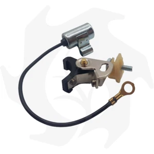 PUNTINE PLATINATE + CONDENSATORE PER MOTORI  BETA cod BG 000099 - Imagen 1 de 4