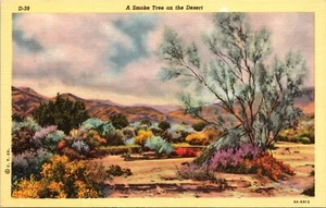 A Smoke Tree on the Desert Linen Postcard - Picture 1 of 4