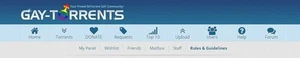 gay-torrents.org Invite - Private Torrent Tracker - Picture 1 of 1