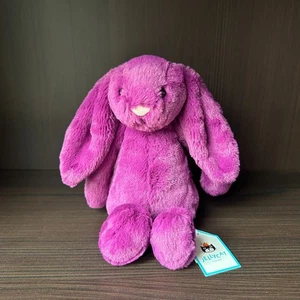 Jellycat Bashful Allium Bunny - RAR - Neu mit Etikett - Kostenloser Vorverkaufsversand ✅🚚 - Bild 1 von 6