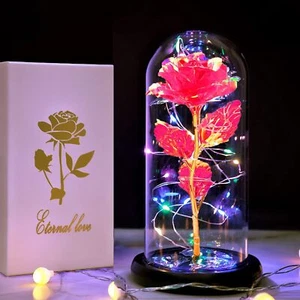 Enchanted Forever Rose Flower In Dome Glass LED Night Light Valentine's Day Gift - Picture 1 of 10