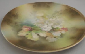 P. K. Silesia Plate White Grapes & Leaves 8 1/2 IN. Germany 1880 Hand Painte - Picture 1 of 4