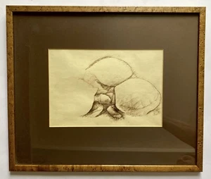 Intrigante antiguo dibujo a tinta abstracto tortugas teseladas artista misterioso - Imagen 1 de 17