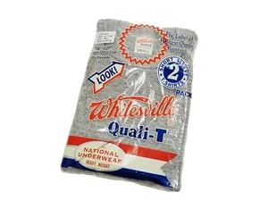 Whitesville Quali-T 2-Pack Heavyweight T-Shirts Gray Size M Japan New - Picture 1 of 13