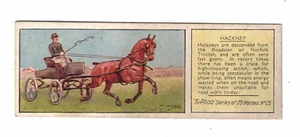 1935 Typhoo Tea Card - Horses - Hackney No. 25 - Bild 1 von 2