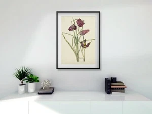 Rennie Mackintosh Fritillary A3 digital print black white oak FRAME - Picture 1 of 1