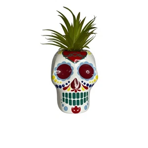 Dia De Los Muertos Ceramic Skull with Plant White Day of the Dead Halloween - Picture 1 of 6