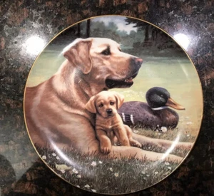 Goldener Labrador Hund "Wie Vater wie Sohn" Dekoteller - Bild 1 von 4