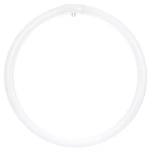 40 Watt 16" Circline Fluorescent 4 Pin Cool White FC16T9/CW/RS FREE SHIPPING!!!! - Picture 1 of 1