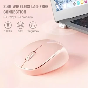 Wireless Mouse 2.4GHz Optical Mice For Window Mac Laptop PC Desktop Computer DPI - Picture 1 of 9