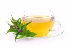 SAMEN  Anis-Ysop ein Tee aus der Agastache anisata - ein wohltuender Genuß. - Bild 1 von 1