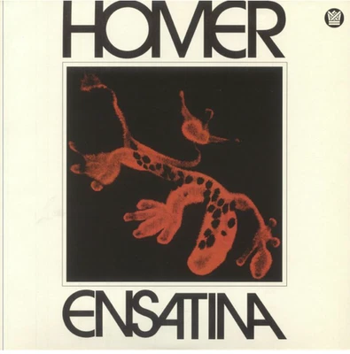 Homer Steinweiss, Ensatina, Vinyl LP, New & Sealed (Big Crown Recordings) - Image 1 of 2