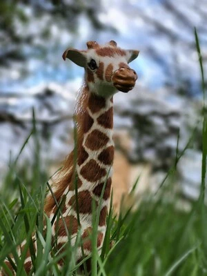 Ojos de vidrio de jirafa de satén de pie realistas de colección hechos a mano - ¡Raro e increíble! Foto 1 de 4