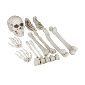 Relaxdays Os décoratifs pour Halloween en Lot de 12 soirées à thème intérieur... - Imagen 1 de 9