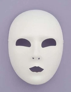 Full Face White Mask - Picture 1 of 1