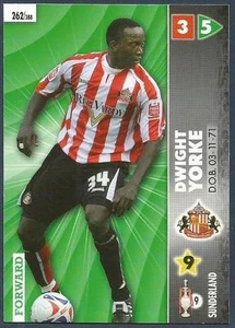 CAMPEONATO PANINI 2007- #262-SUNDERLAND-DWIGHT YORKE - Imagen 1 de 1