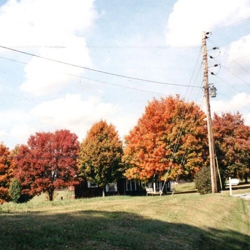 Vegas Water Taxi - Things Are Gonna Be Alright (Extended Edition) - Red [Used Ve - Image 1 of 1