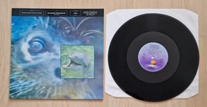 12 " Frankie Goes To Hollywood Watching the Wildlife Holly Johnson Euro Disco - Bild 1 von 2