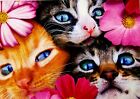 "CÂLIN DE GROUPE !" Carte de vœux joyeux anniversaire drôle Avanti fleurs de chaton avec enveloppe