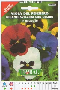 SCHWEIZER GEDANKENVIOLETTE MIT AUGEN - AUS BALKONVASE - FLORAL - SAMENUMSCHLAG - Bild 1 von 1