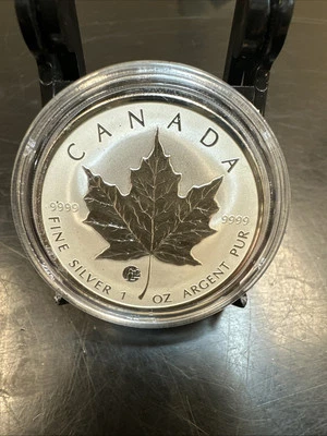 2007 $5 Canada Silver Maple Leaf - Fabulous 12  Privy - Image 1 of 2