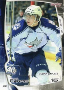 2011/12 Sudbury Wolves - JACOB HARRIS - Foto 1 di 1
