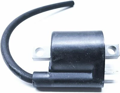 BOBINA DE ENCENDIDO OEM KTM - VARIOS MODELOS 65cc-105cc 07-15 - 46139006100 Foto 1 de 3