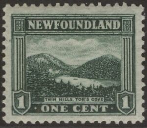 NEWFOUNDLAND 131 1923 1c TWIN HILLS TOR'S COVE RE-ENTRIES CP14.0x14.0 XF MVLH 