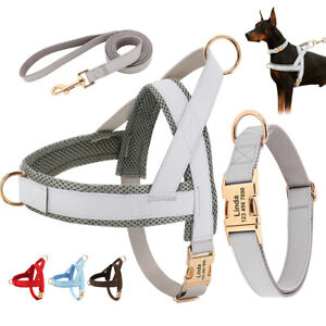 Nylon & Leather Dog Harness + Personalized Pet Collar +Leash with Handle XS-XL