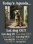 Border Terrier Pet Dog Funny Flexible Fridge Magnet Christmas Gift Todays Agenda