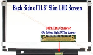Pantalla LED compatible para portátil 11.6" IVO M116NWR6 R0 eDP - Imagen 1 de 5