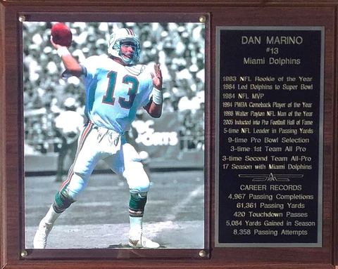 Dan Marino Miami Dolphins 12x15 Cherry-Finished Stats Plaque (H) Cover