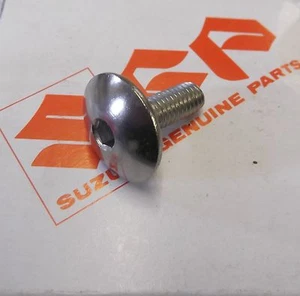 Genuine Suzuki DL 650 SV 650 Front Mudguard Chrome Mounting Screw 09139-06121 - Picture 1 of 2