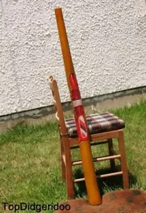 47"\120cm Teak DIDGERIDOO Crocodile Native Painting Art +Bag +Beeswax Mouthpiece - Picture 1 of 4