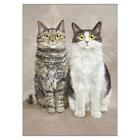 Hope & Nathalie, cats, single blank card by artist Kim Haskins