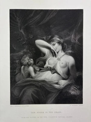 Robinson by Reynolds, The Snake in the Grass, Tafel um 1840 - Bild 1 von 4