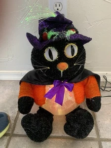 Fiber Optic Black Cat Witch Color Changing In Box 16” - Picture 1 of 12