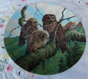 WOODLAND WATCH:  SPOTTED OWLS PLATE UNDER MOTHER'S WING - Picture 1 of 3