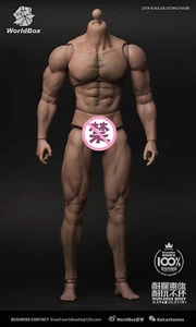 WorldBox 1/6 Man Male Wolverine Figure Muscle Body Wide Shoulder AT012 Action Bo - Picture 1 of 9