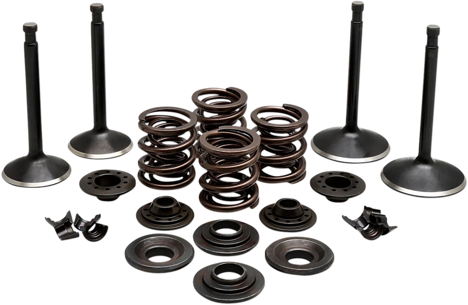 Kit completo de válvulas Kibblewhite 20-22350 Foto 1 de 1