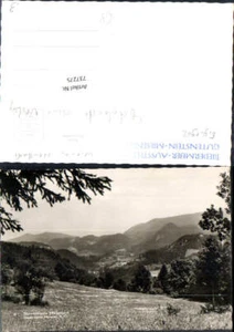 737275 Fotokarte ohne Verlag Gutenstein Miesenbach Partie Stp. Biedermeier Ausst - Picture 1 of 1