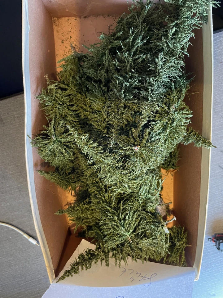 Modelleisenbahn universal Bäume Spur N ---  40  Stück - Bild 1 von 1