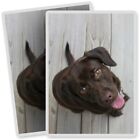 2 x Vinyl Stickers 7x10cm - Chocolate Labrador Dog Puppy  #14281