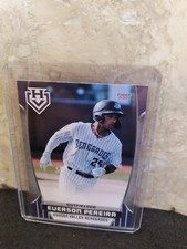 2021 Everson Pereira Hudson Valley Renegades Team Set #42 card-Yankee Prospect!