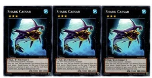 Yugioh - 3X Shark Caesar - Common - 1st Edition - JOTL-EN049 - Near Mint - Picture 1 of 1
