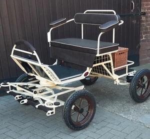 Buggy - Minishetty/Shetty - 12 Zoll NEU - Bild 1 von 1